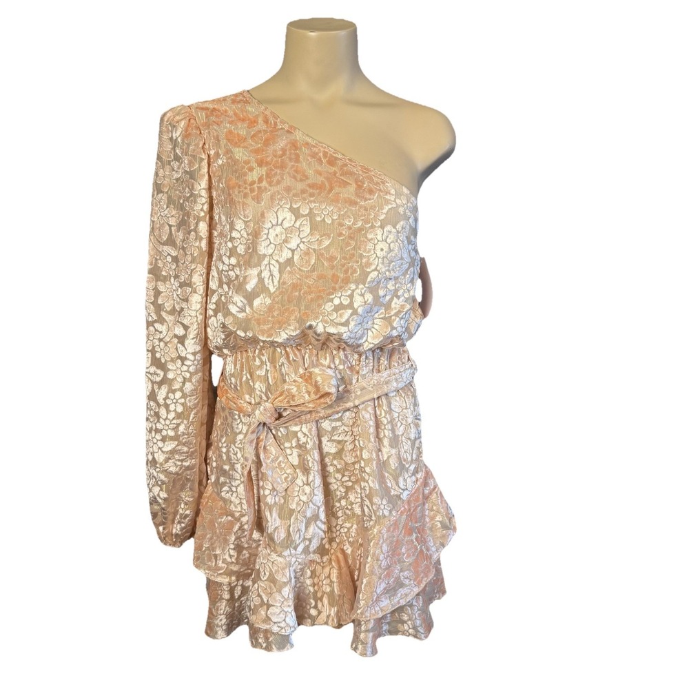 Hemant and Nandita Floral One Shoulder Mini Dress Size Small Belt Velvet Burnout